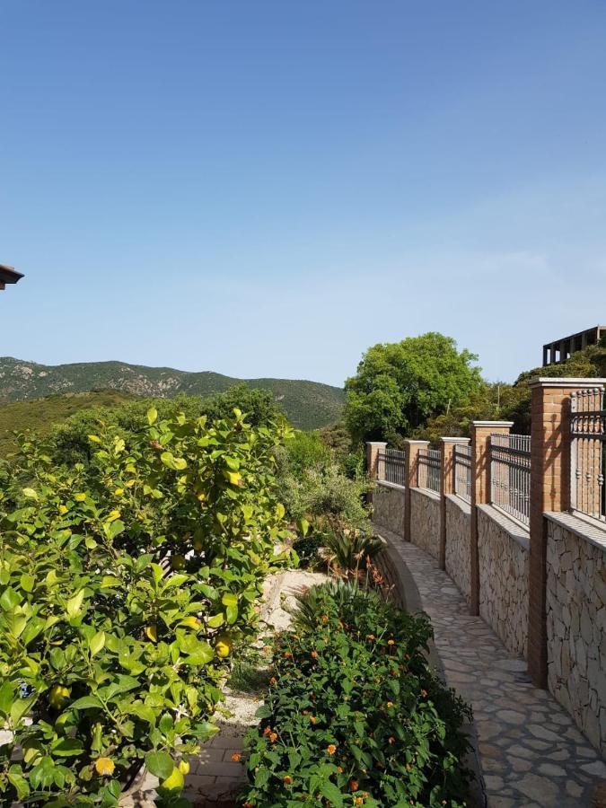 "La Pavoncella" Chia - Domus De Maria Villa Exteriör bild