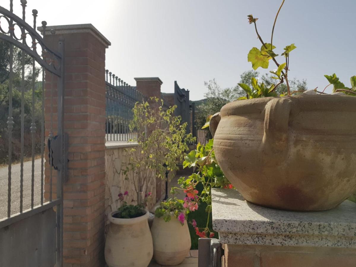 "La Pavoncella" Chia - Domus De Maria Villa Exteriör bild